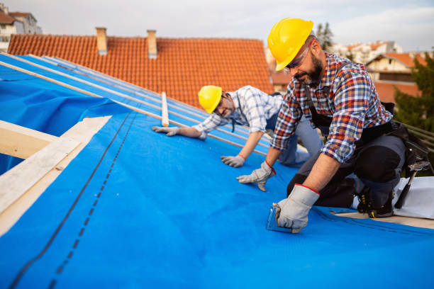 Roof Gutter Cleaning in Utica, NE